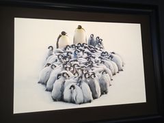 -罗红摄影艺术馆