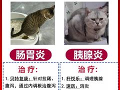 -博特宠物医院24h犬猫全科.骨科·异宠