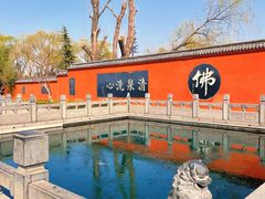 -百脉泉景区