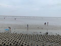 -碧海金沙