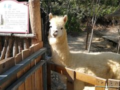 -汕尾铜鼎山旅游区