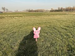 -瀛海足球主题公园