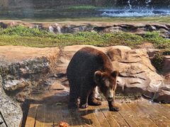 -海南热带野生动植物园