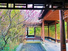 -苏州上方山国家森林公园