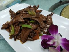 -宝发园名菜馆