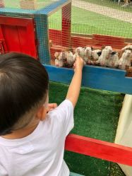 -萌宠亲子动物乐园(槐房万达店)