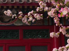 -海棠花溪(元大都城垣遗址公园)