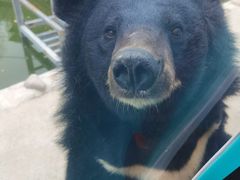 -栾川竹海野生动物园