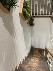 -薇薇安花系SPA