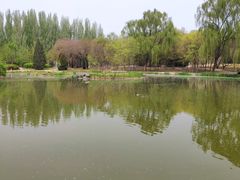 -将府公园