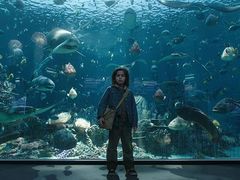 -奥斯卡升龙国际影城(RealD Cinema)