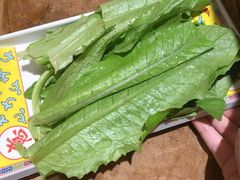 油麦菜-芦月轩羊蝎子(北蜂窝店)