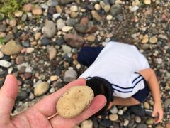 -小南海站