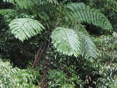 -赤水丹霞旅游区·佛光岩