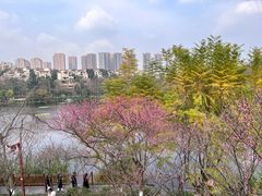 -重庆彩云湖湿地公园
