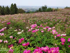 -金堂县云顶石城风景区