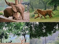 -乐和乐都主题乐园