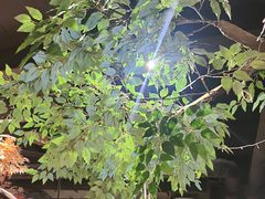 -城墙拐拐火锅(三峡广场黑金冠店)