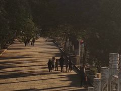 -巢湖姥山岛