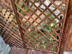 -军山湖云水间生态农业旅游景区