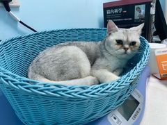 -纳吉亚猫专科动物医院博雅分院