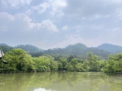 -黄陂区野村谷景区