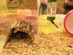 -龙猫仔乐园(惠福东路店)