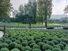 -国家植物园南园