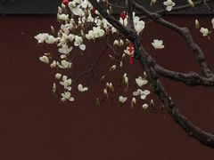 -钱王祠