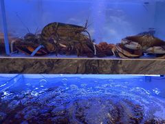 -章吴记喜瑞餐厅(东东城店)