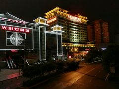 -维也纳国际酒店·西安大雁塔大唐不夜城店