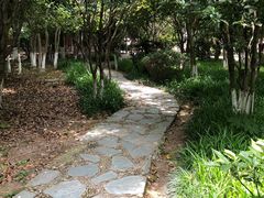 -白马涧龙池景区