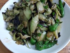 干煸茄子-雷祖芳老妈蹄花店