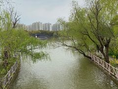 -南汇桃花村
