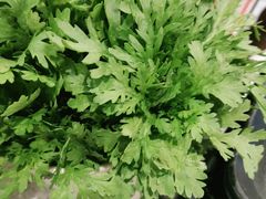-钢管厂五区小郡肝串串香(南山店)