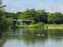 -海珠湖公园