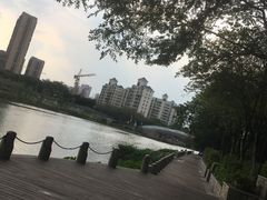 -怡海公园(桂城街道)