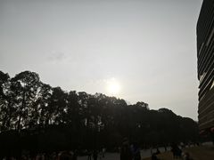 -九寨沟-树正沟