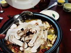 -菌之家·专业纯野生菌火锅·特色炒菌