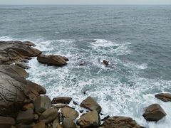 -广东惠东海龟国家级自然保护区