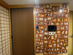 -猫十亿·布偶金渐层·曼基康矮脚猫舍(青年路店)