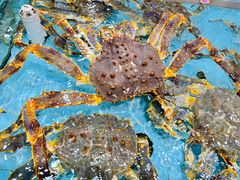 -渔民新村(番禺总店)