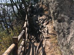 -王顺山国家森林公园