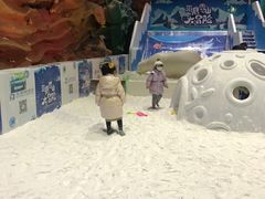 -青岛嘉年华主题乐园