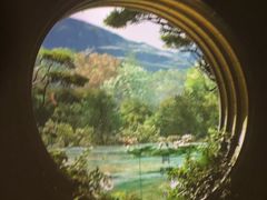 -中国湿地博物馆