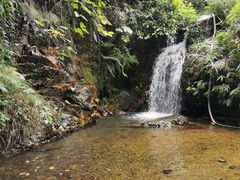 -佛山市三水区大南山森林公园