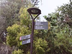 -深圳仙湖植物园
