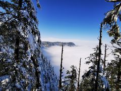 -瓦屋山景区