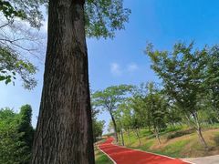 -宜兴龙背山森林公园
