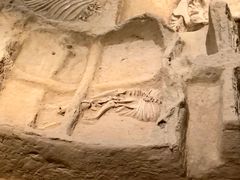 -洛阳周王城天子驾六博物馆